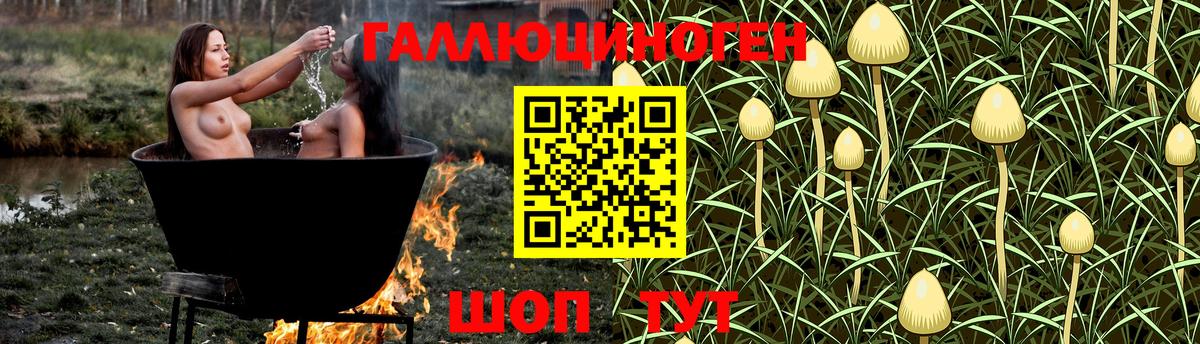 Самара  Галлюциногенные грибы Psilocybine cubensis  Вход с VPN 